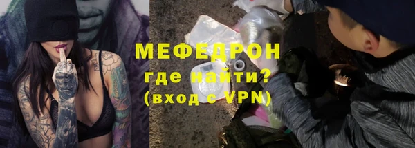 сатива Беломорск