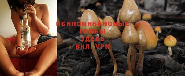 COCAINE Белокуриха