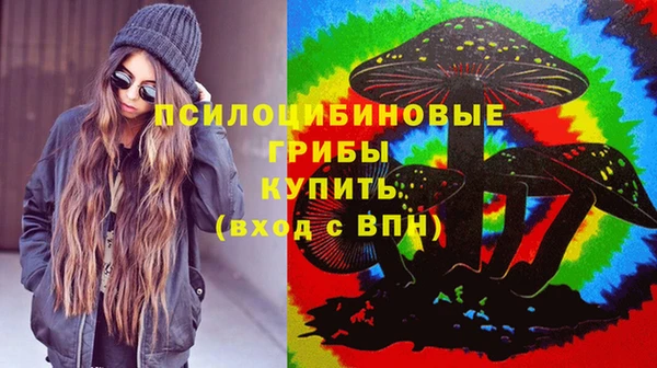 сатива Беломорск