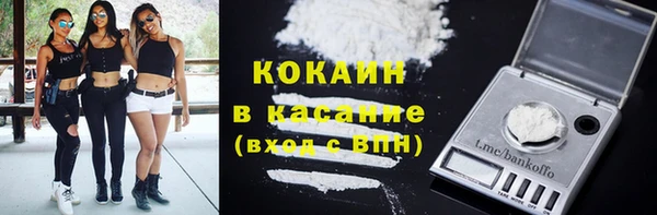сатива Беломорск