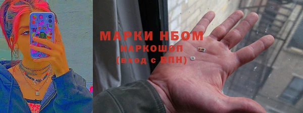 сатива Беломорск
