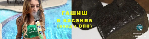 сатива Беломорск