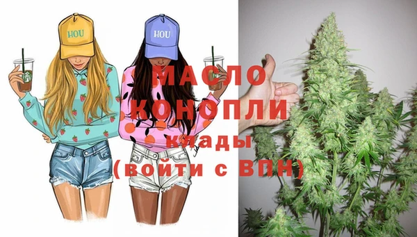сатива Беломорск