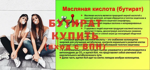 сатива Беломорск