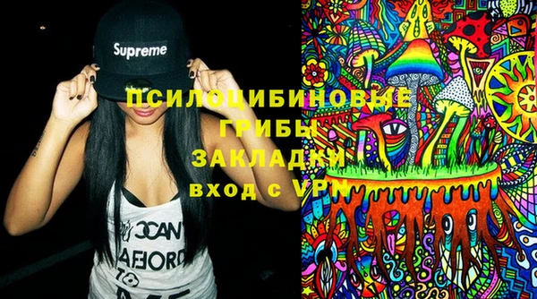 сатива Беломорск