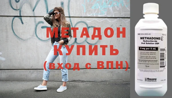 сатива Беломорск