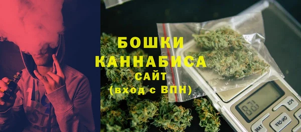 сатива Беломорск