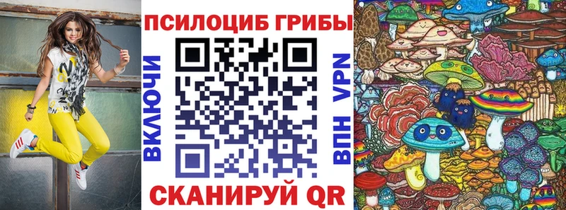 Купить  Урюпинск  Псилоцибиновые грибы Psilocybine cubensis 